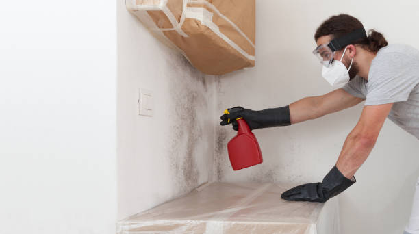 Professional Attic Mold Removal technician working in Plainview, MN